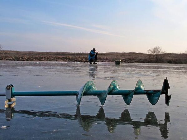 Изображение Фото: Алексей Коломиец. 