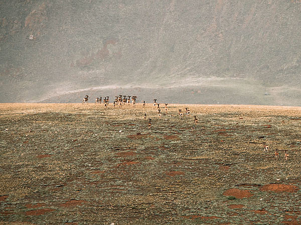 Изображение ФОТО ОЛИМА НАЗАРОВА