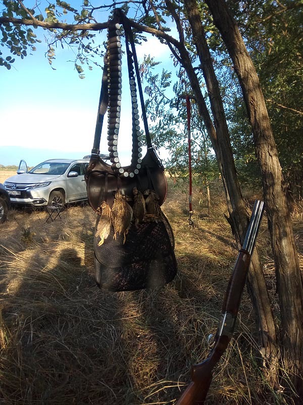 Изображение Уже не один год я езжу на осенний пролет перепела в Адыгею.
