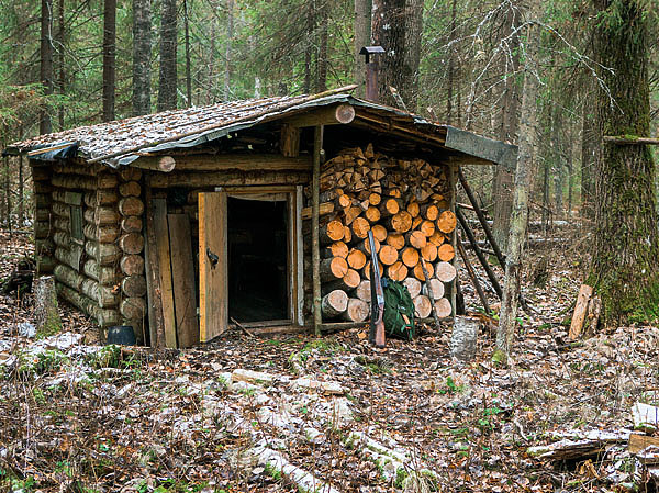 Изображение Подживив в костре огонь, Крутов подогрел чайник. После чаепития Василий принялся потрошить рябчиков, а я продолжил накатывать на потолок жерди.ФОТО: shutterstock 