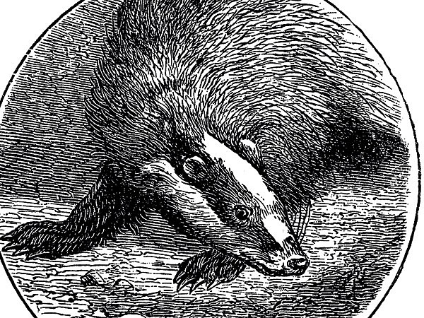 Изображение ИЛЛЮСТРАЦИЯ ИЗ АРХИВА ПАВЛА ГУСЕВА