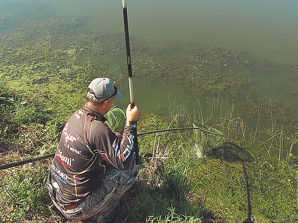 Изображение Фото: Алексей Коломиец. 