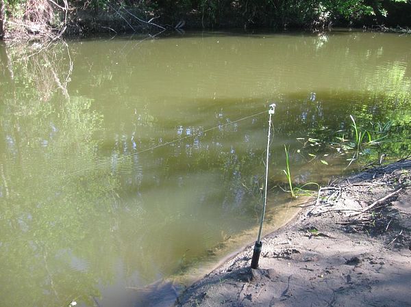 Изображение Фото: Александр Токарев.