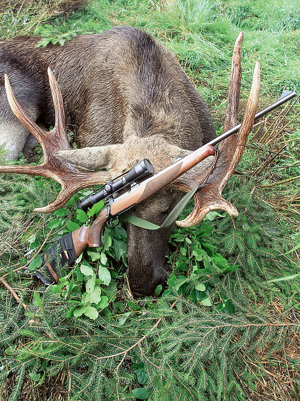 Изображение ФОТО SHUTTERSTOCK