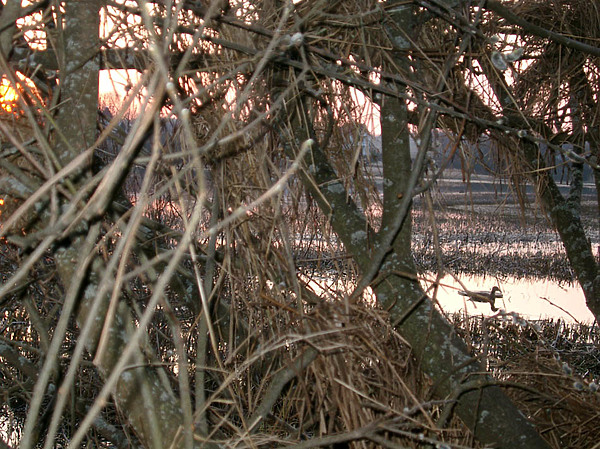 Изображение фото: Семина Михаила