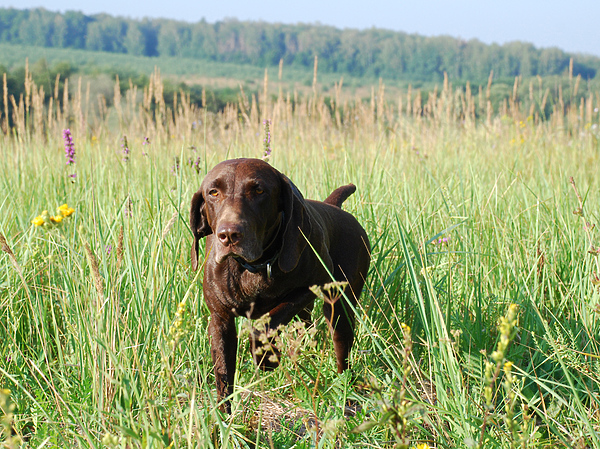 Изображение фото: Семина Михаила 