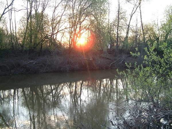 Изображение Фото: Токарева Александра. 