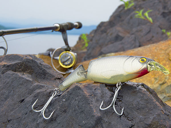 Изображение Фото: Алексей Потехин.