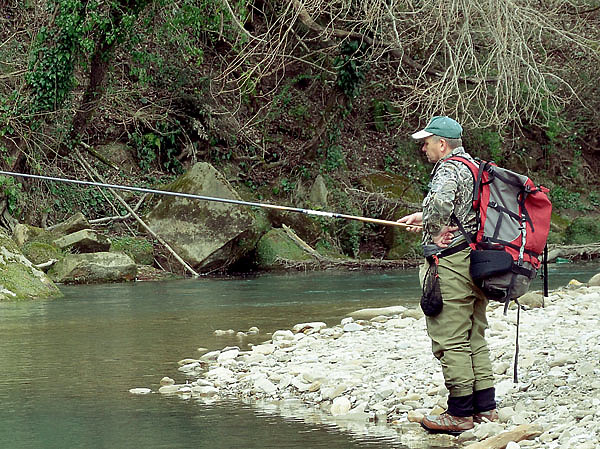 Изображение Фото: Геннадий Шеляг.