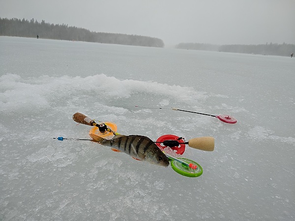 Изображение У одной из лунок. Фото: Трембицкого Алексея. 