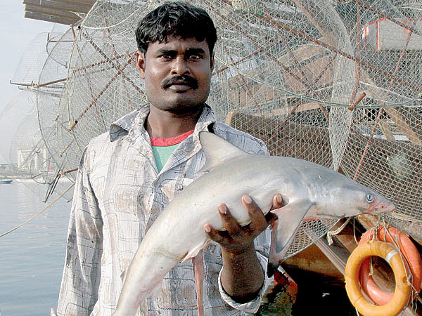 Изображение В морских глубинах трофеи крупные и разнообразные. Фото: Супруненко Владимира. 