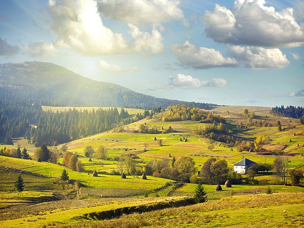 Изображение фото: Fotolia.com 