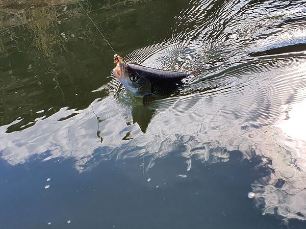 Изображение Первый весенний трофей – это всегда праздник. Фото: Геннадий Шеляг.