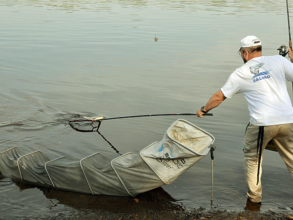 Изображение Подсачек с длинной рукоятью позволяет быстро взять буйного язя. Фото: Линника Николая.