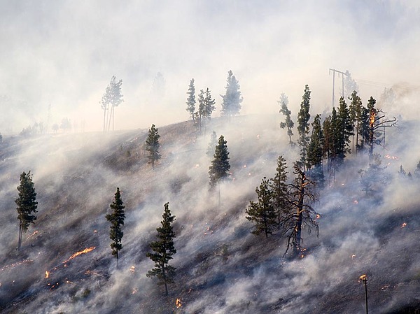 Изображение фото: Виктора Рудмана