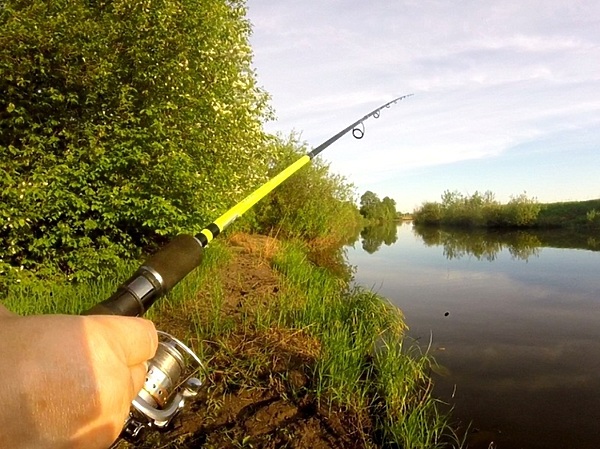 Изображение Фото: Токарева Александра.