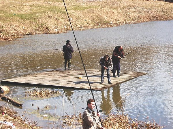 Изображение Фото: Андрей Яншевский. 