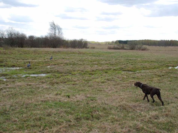 Изображение Ада и обманки. Фото: Сёмина Михаила