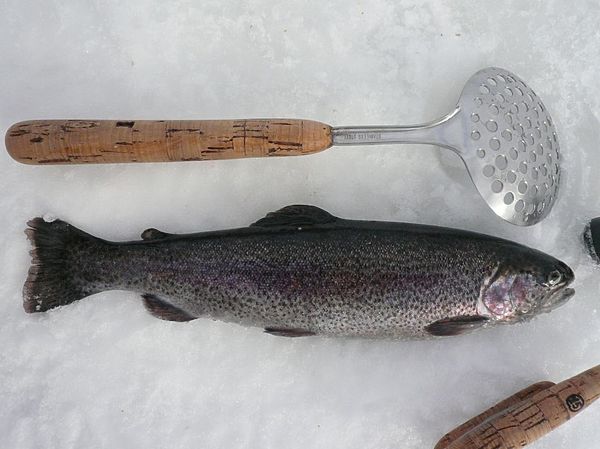 Изображение Фото: Геннадий Шеляг. 