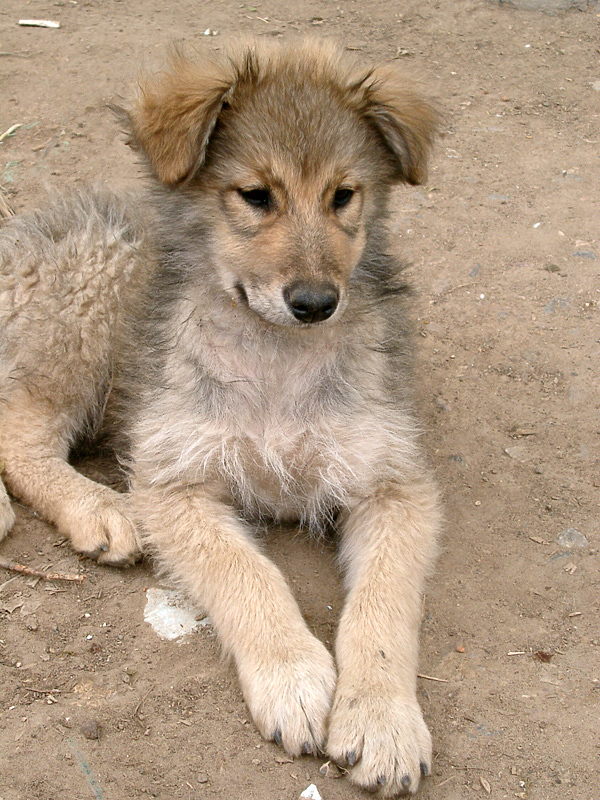 Изображение фото: Семина Михаила