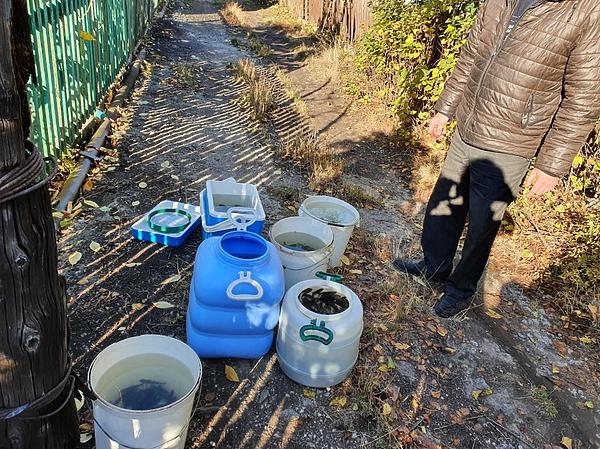 Изображение Перевозить молодь рыбы нужно в достаточном объеме чистой холодной воды. Фото: Шеляга Геннадия. 