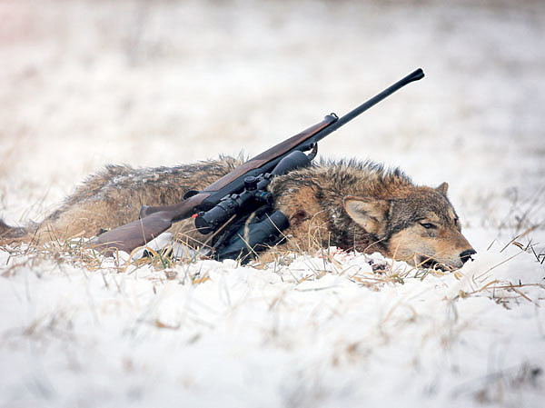 Изображение ФОТО:  SHUTTERSTOCK