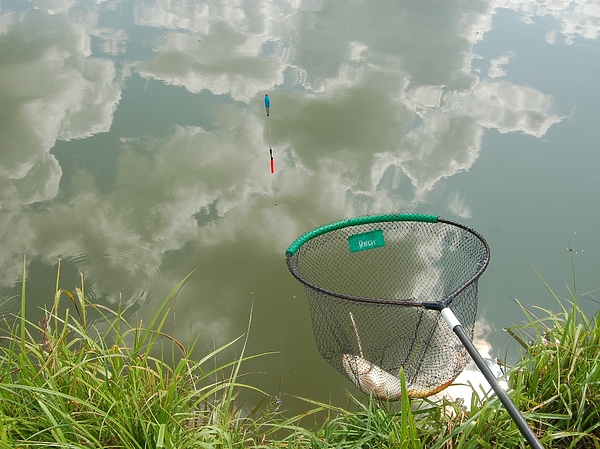 Изображение Фото: Андрей Яншевский.