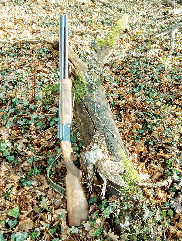 Изображение Фото автора. 