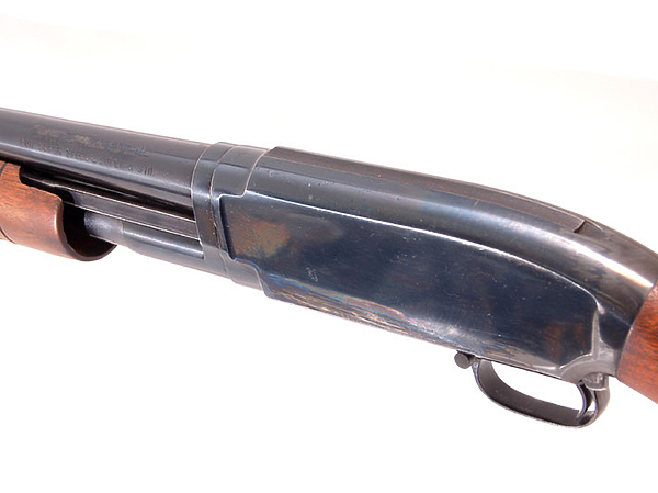 Изображение фото: fotolia.com 