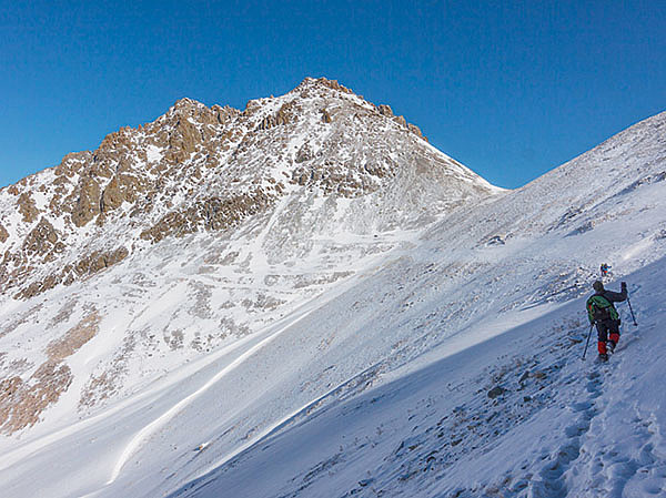 Изображение Горы Тянь-Шаня и Алтая приютили одни типы животных, степи с пустынями Западного и Центрального Казахстана совсем другие. Большие реки и озера страны также служат постоянным убежищем для разнообразных сообществ фауны. На территории современного Казахстана обитает 180 видов млекопитающих, 500 видов птиц, 52 вида пресмыкающихся, 12 видов земноводных, свыше 100 видов рыб и более 50 тысяч видов беспозвоночных (насекомые, ракообразные, моллюски, черви). Только одних насекомых зарегистрировано здесь более 30 000 видов. ФОТО АНТОНА ЖУРАВКОВА 
