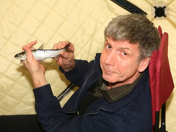 Изображение Сибирский рипус. Фото: Евгений Кузнецов.