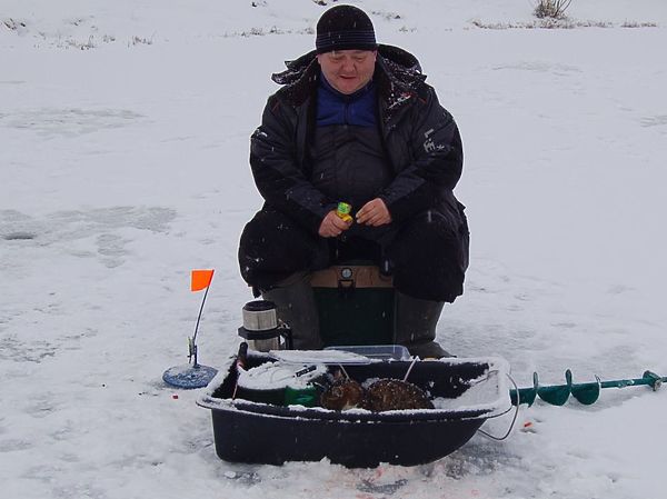 Изображение Кот-рыболов. Фото: Андрей Яншевский.