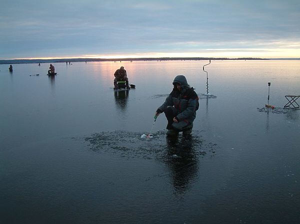 Изображение Под Волгоградом. Фото: Алексей Коломиец.