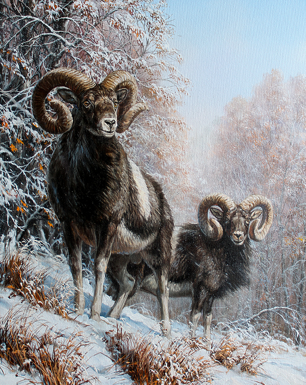 Изображение Обложка журнала &quot;Охота и рыбалка XXI век&quot;. Художник: Татьяна Данчурова