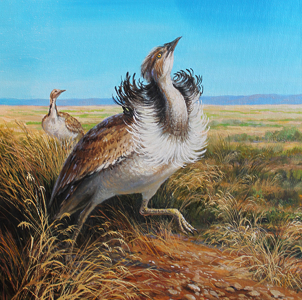 Изображение Обложка журнала &quot;Охота и рыбалка XXI век&quot;. Художник: Татьяна Данчурова