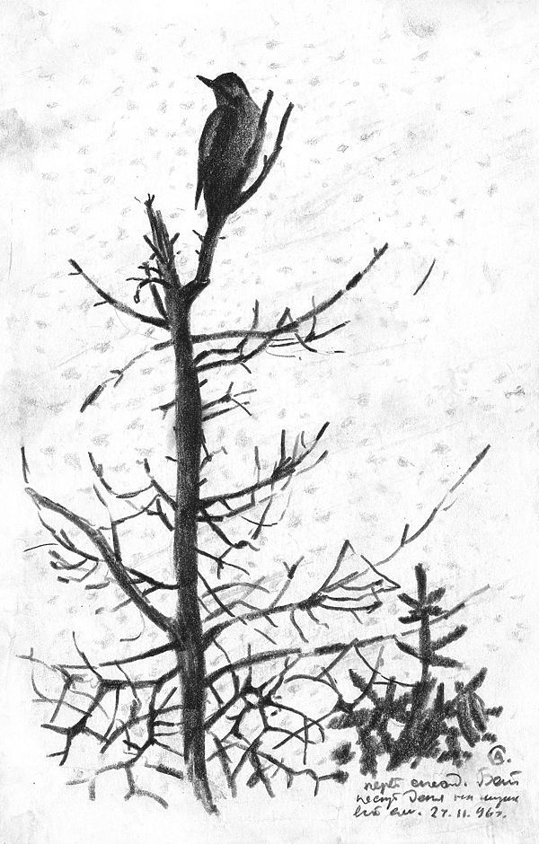 Изображение Первый снегопад. Ноябрь 1996 г. Рисунок А.Субботина