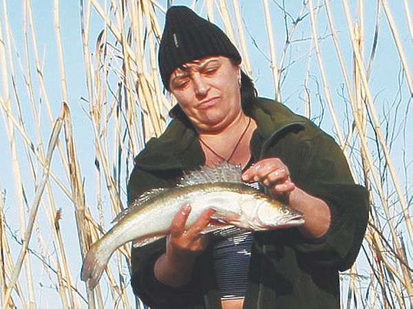 Изображение Фото: Надежда Гаева.