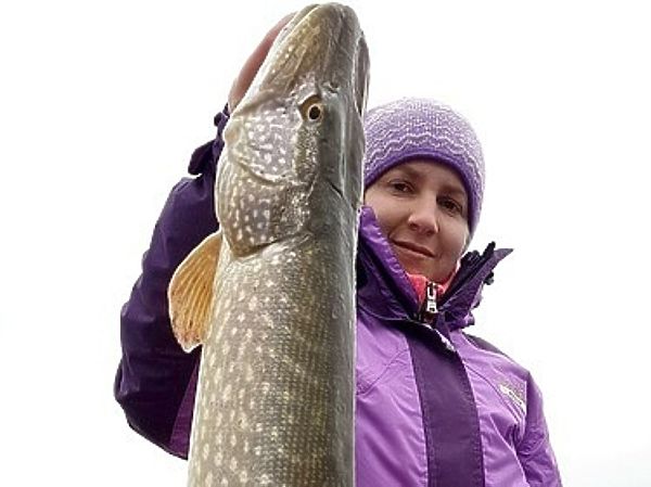 Изображение Фото: Евгений Кузнецов.