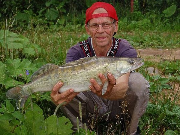 Изображение Фото: Андрей Яншевский.
