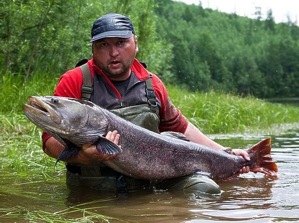Изображение Фото: Евгений Кузнецов.