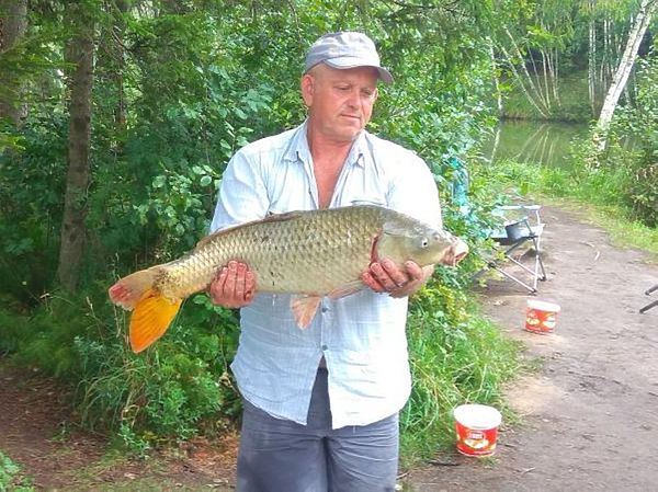 Изображение Фото: Андрей Комаров.