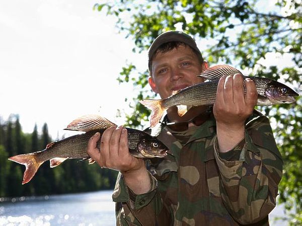 Изображение Фото: Евгений Кузнецов.