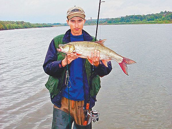 Изображение Фото: Анатолий Маилков.