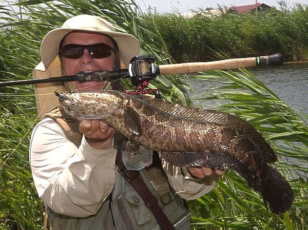 Изображение Фото: Евгений Кузнецов.