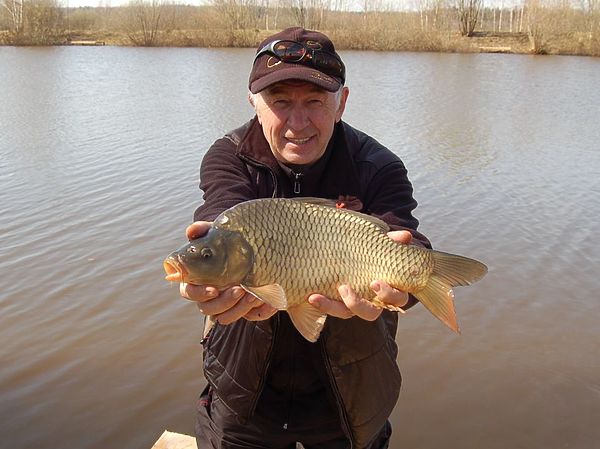 Изображение Фото: Андрей Яншевский.