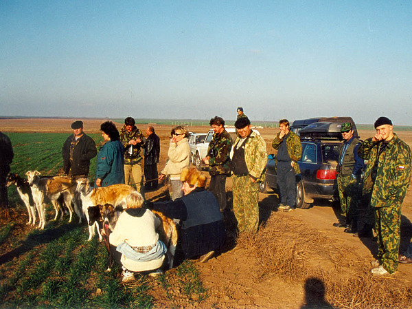 Изображение В Арзгирских полях. Фото: В.Бодункова