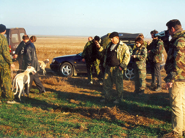 Изображение В Арзгирских полях. Фото: В.Бодункова