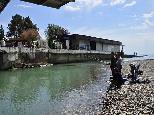 Изображение Около Сочи. Фото: Геннадий Шеляг