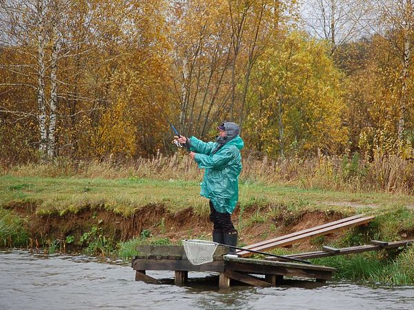 Изображение Пруд около Озерны. Фото: Андрей Яншевский.