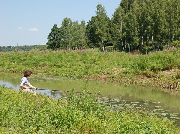 Изображение Река Воря. Фото: Елена Егорова.